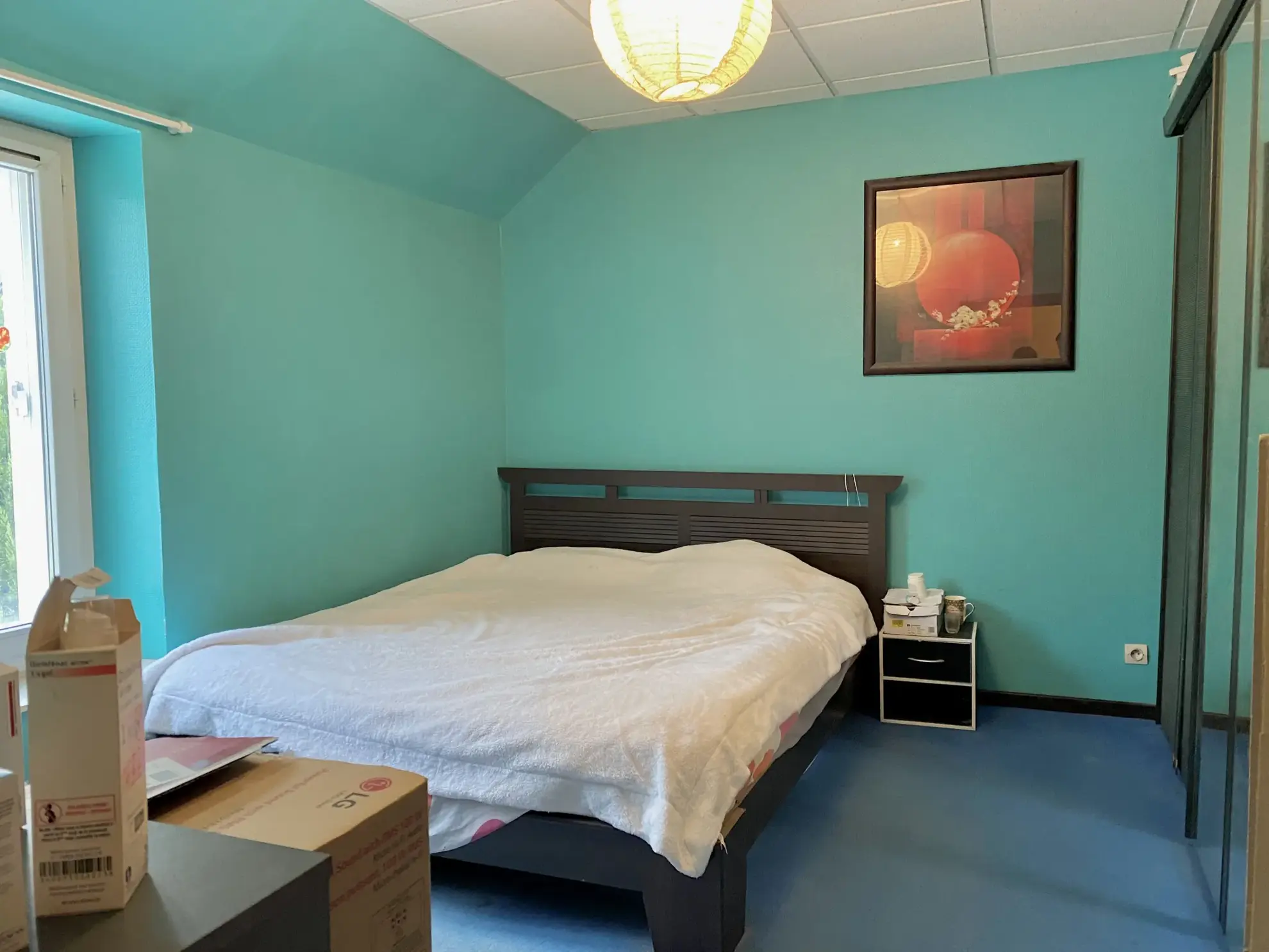 Immeuble à Vierzon avec 3 lots, garage, potentiel d'aménagement 