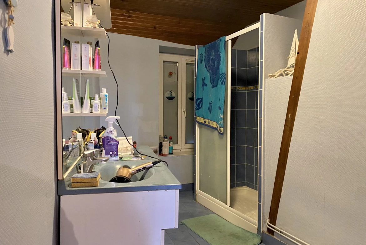 Immeuble à Vierzon avec 3 lots, garage, potentiel d'aménagement 