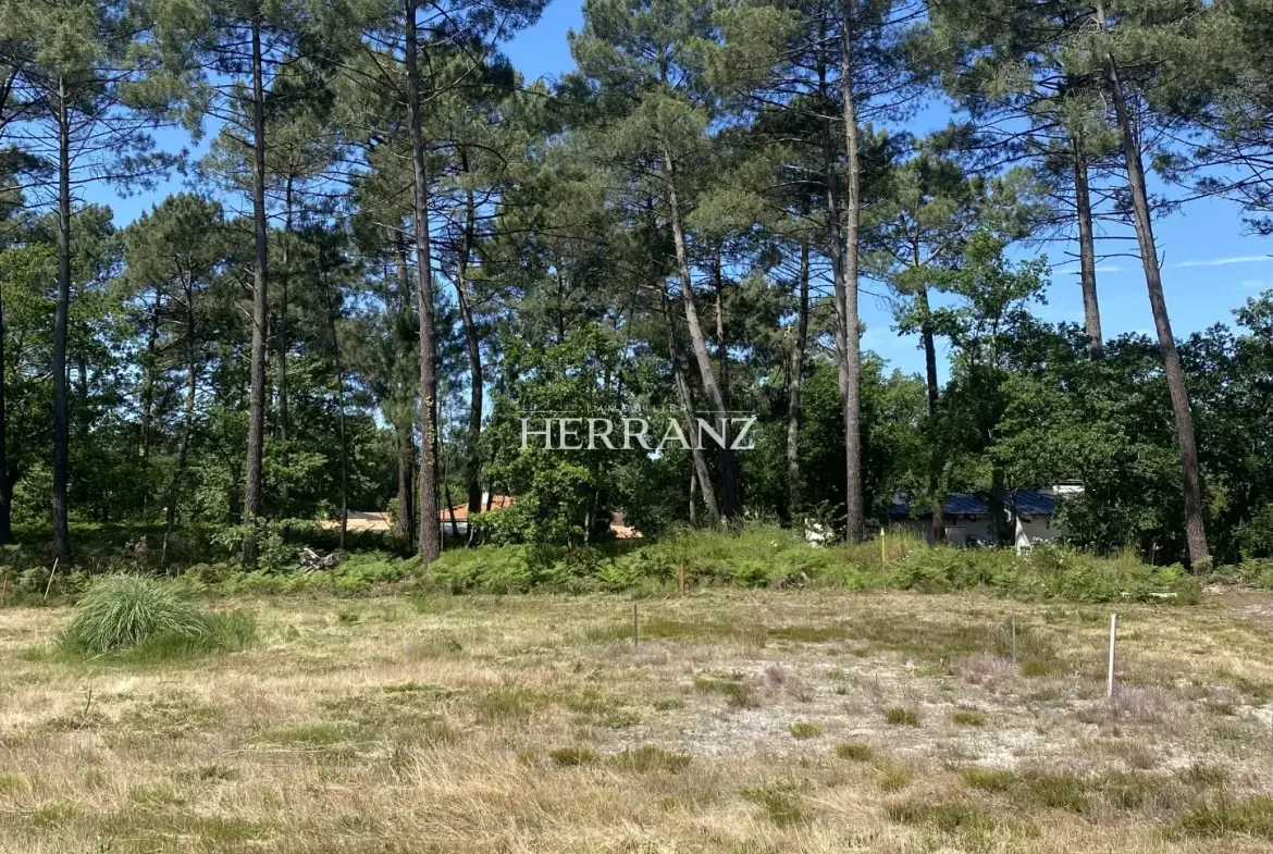 Superbe terrain plat constructible de 520 m² avec vue sur les pins à Martignas-sur-Jalle, proche Bordeaux 