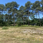 Superbe terrain plat constructible de 520 m² avec vue sur les pins à Martignas-sur-Jalle, proche Bordeaux