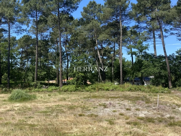 Superbe terrain plat constructible de 520 m² avec vue sur les pins à Martignas-sur-Jalle, proche Bordeaux