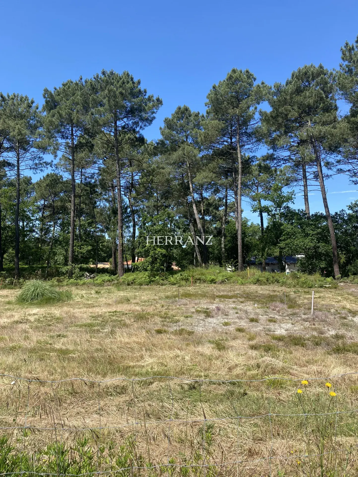 Superbe terrain plat constructible de 520 m² avec vue sur les pins à Martignas-sur-Jalle, proche Bordeaux 
