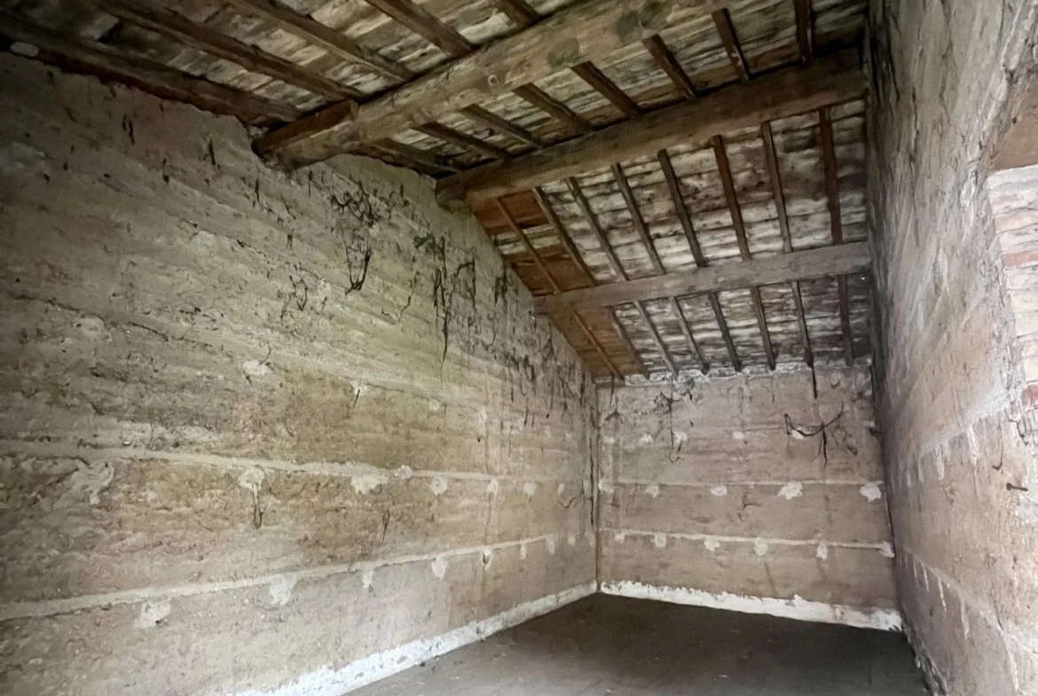 Ancienne dépendance en pierre de 135m² à Ternay, terrain arboré de 755m² 