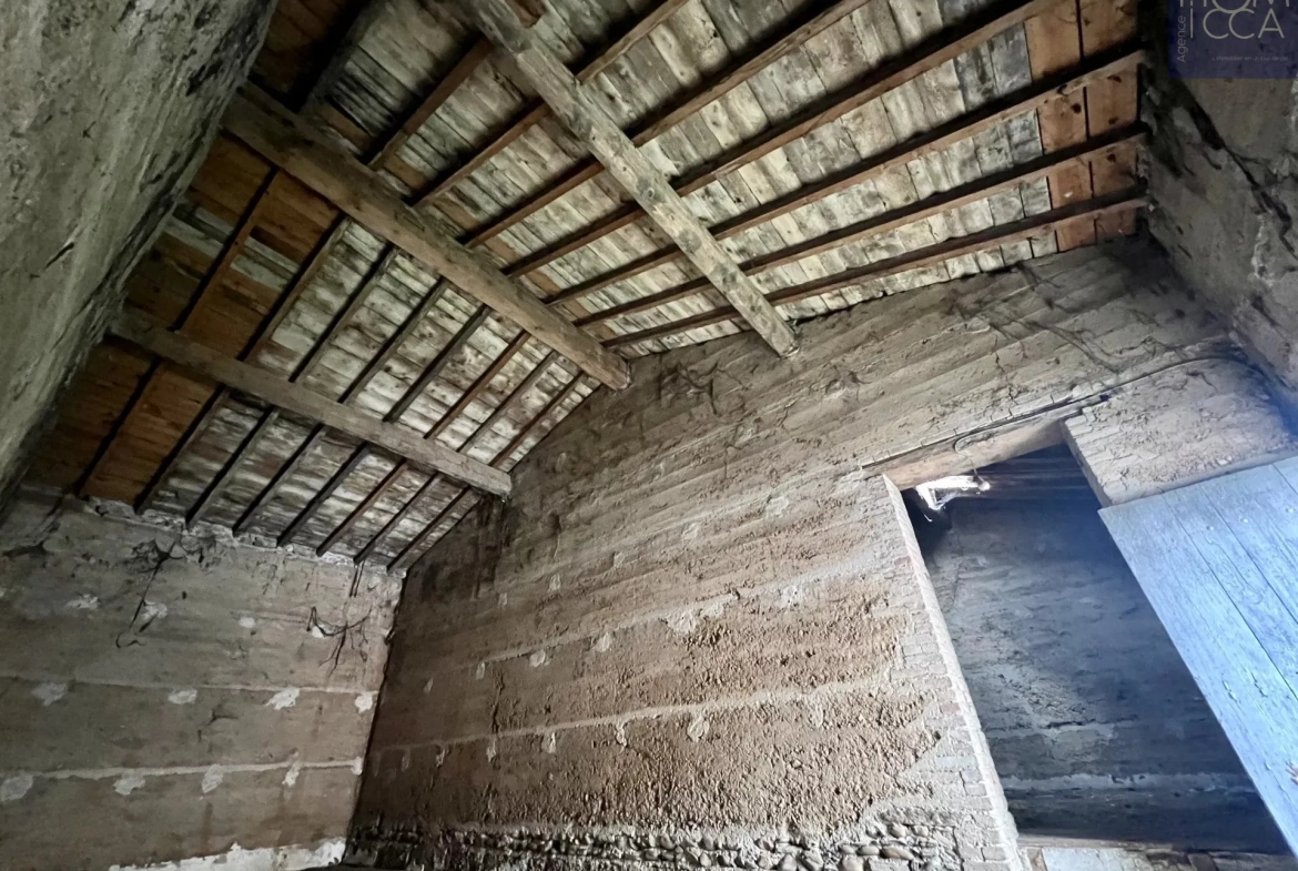 Ancienne dépendance en pierre de 135m² à Ternay, terrain arboré de 755m² 