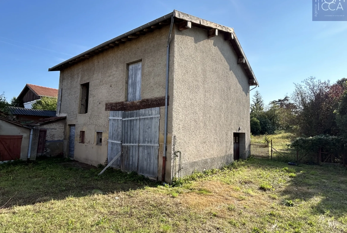 Ancienne dépendance en pierre de 135m² à Ternay, terrain arboré de 755m² 