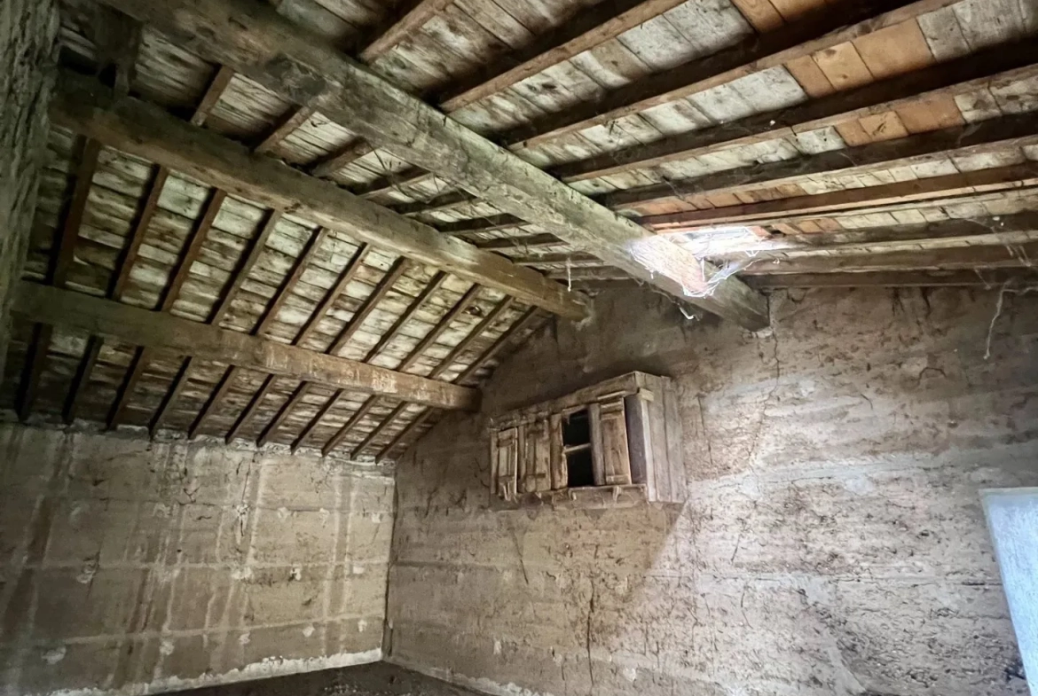 Ancienne dépendance en pierre de 135m² à Ternay, terrain arboré de 755m² 