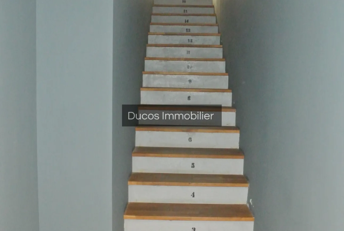 Maison de ville rénovée avec terrasse et garage au centre de Marmande 
