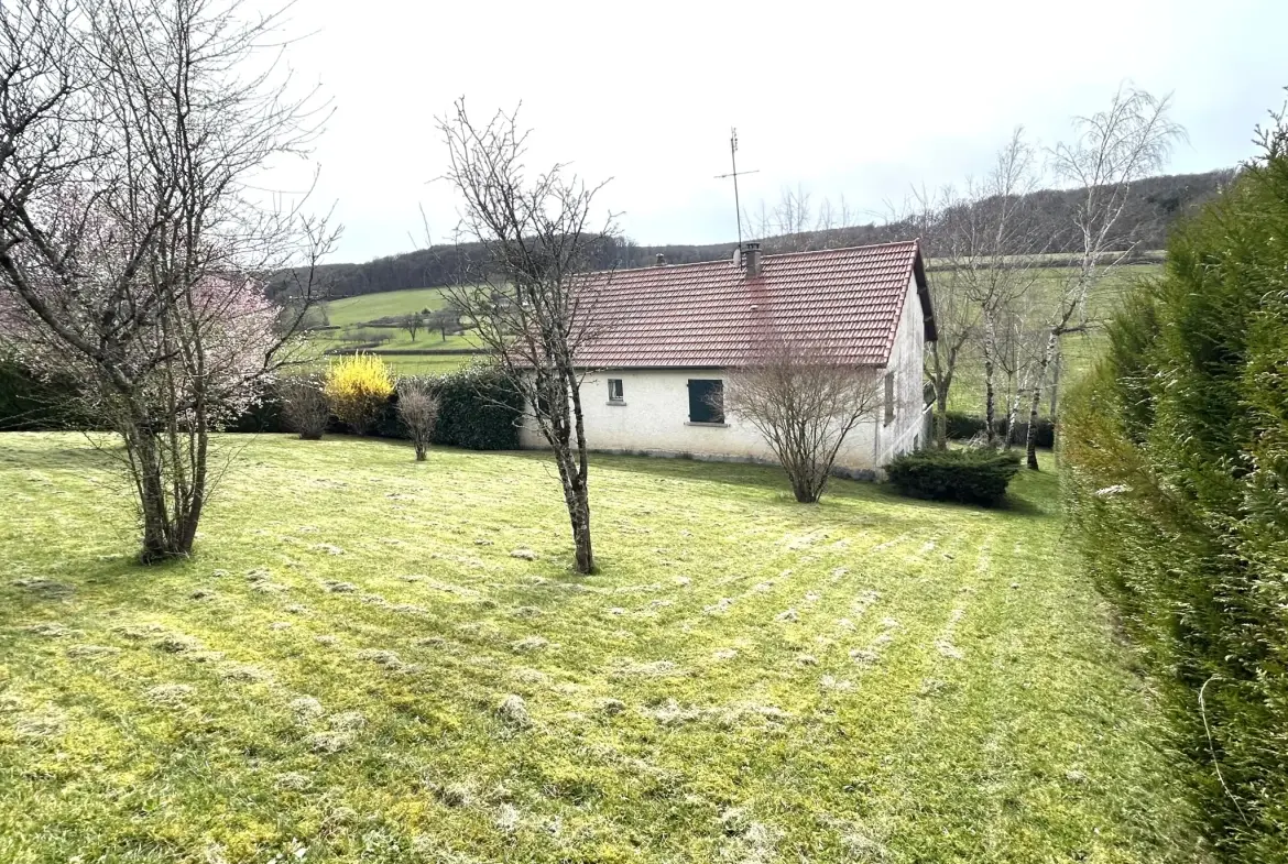 Pavillon à vendre à Premery avec vue imprenable et grand terrain 