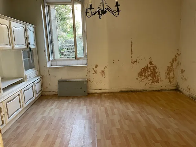 Maison de village à Nangis avec jardin et potentiel d'investissement 