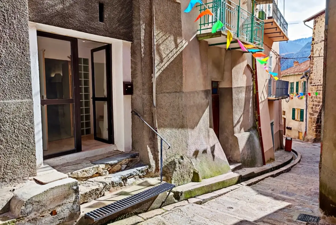 Local commercial de 20 m² à vendre à Saint Martin Vésubie, idéal pour profession libérale ou commerce 