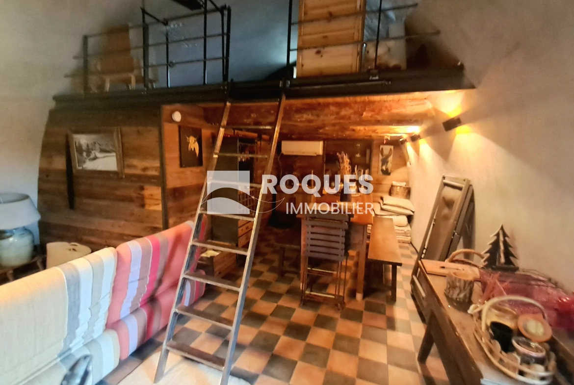 Ancienne bergerie rénovée à Veyreau, proche Millau, 50 m² avec jardin et terrasse 