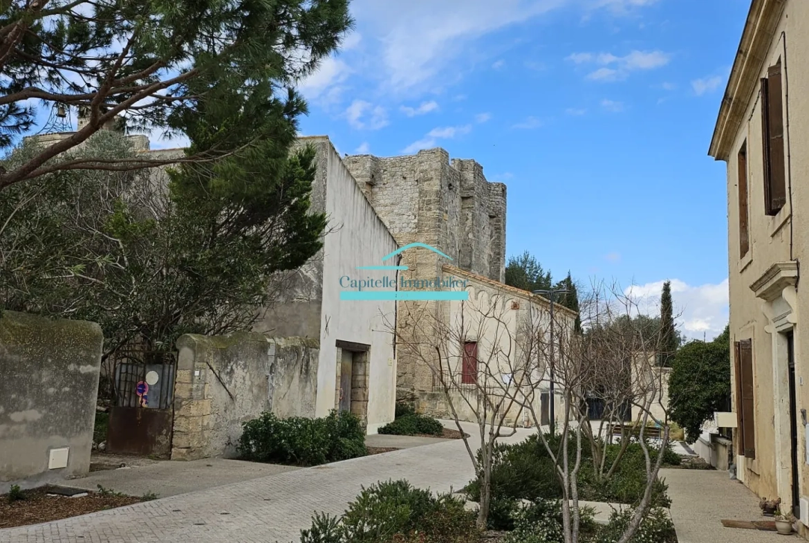 Achat d'un appartement 2 pièces à Vic la Gardiole avec vue dégagée 