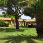 Studio climatisé avec terrasse à Perols - Idéal investisseur ou premier achat