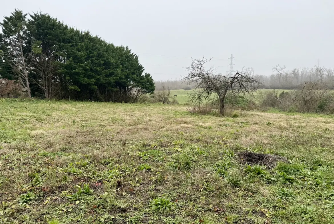 Ferme à rénover avec grange et terrain constructible à Preuilly 