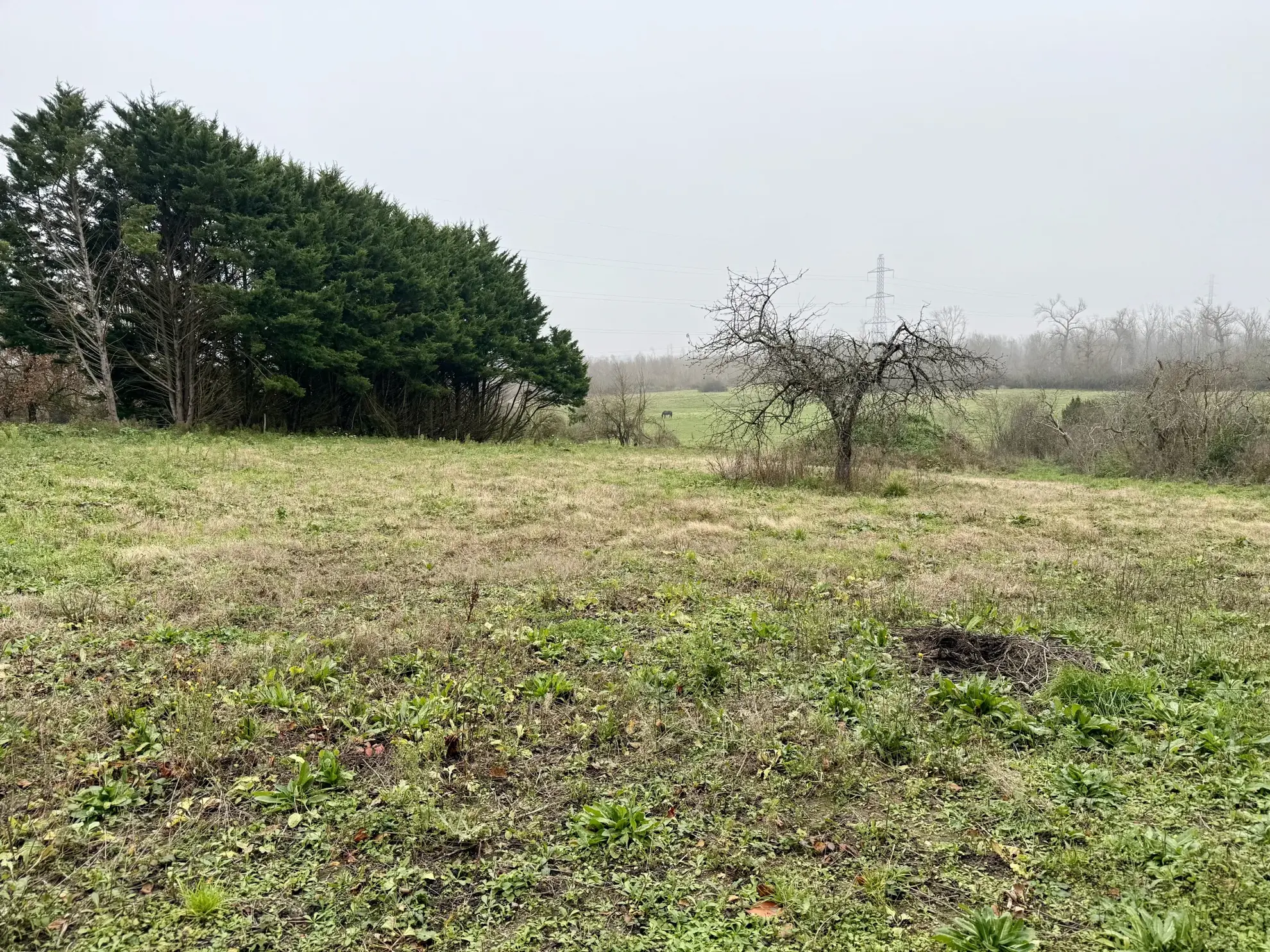 Ferme à rénover avec grange et terrain constructible à Preuilly 