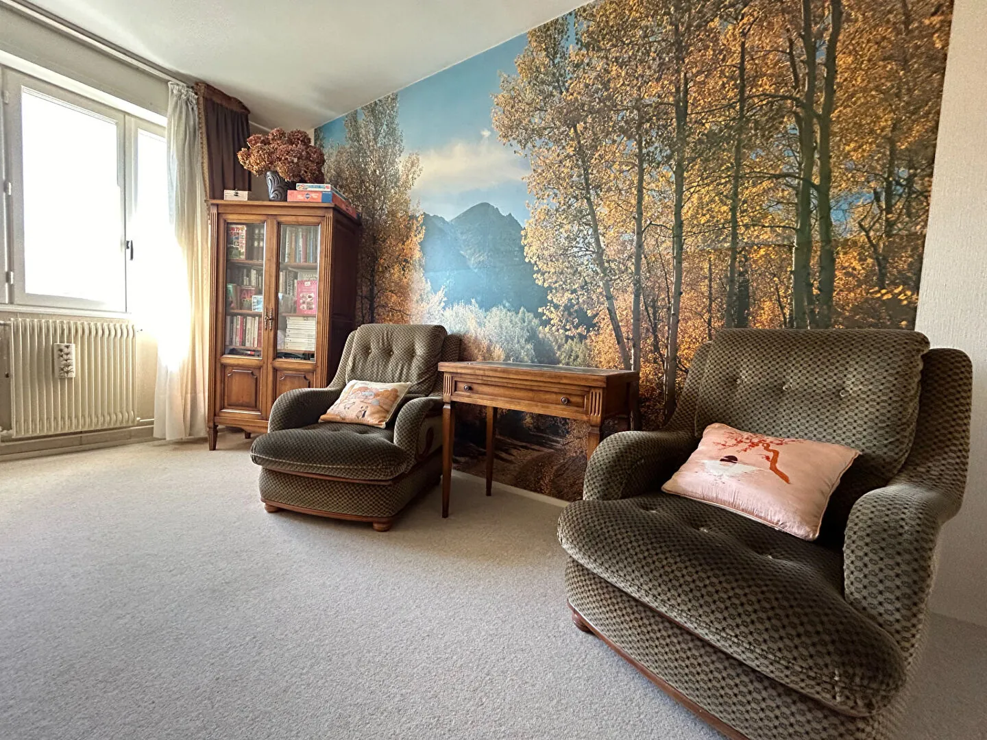 Appartement T6 spacieux à vendre à Beaumont (63110) avec parking, cave et chauffage écologique 
