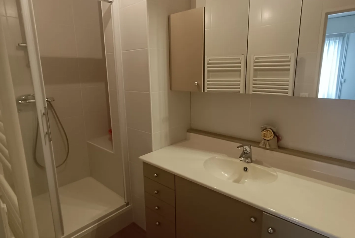 Appartement T2 à vendre à Vierzon, 47,21 m² avec balcon et parking 