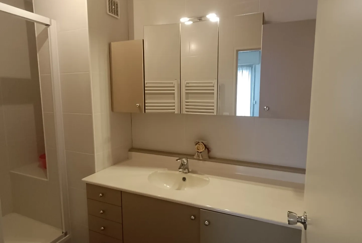Appartement T2 à vendre à Vierzon, 47,21 m² avec balcon et parking 