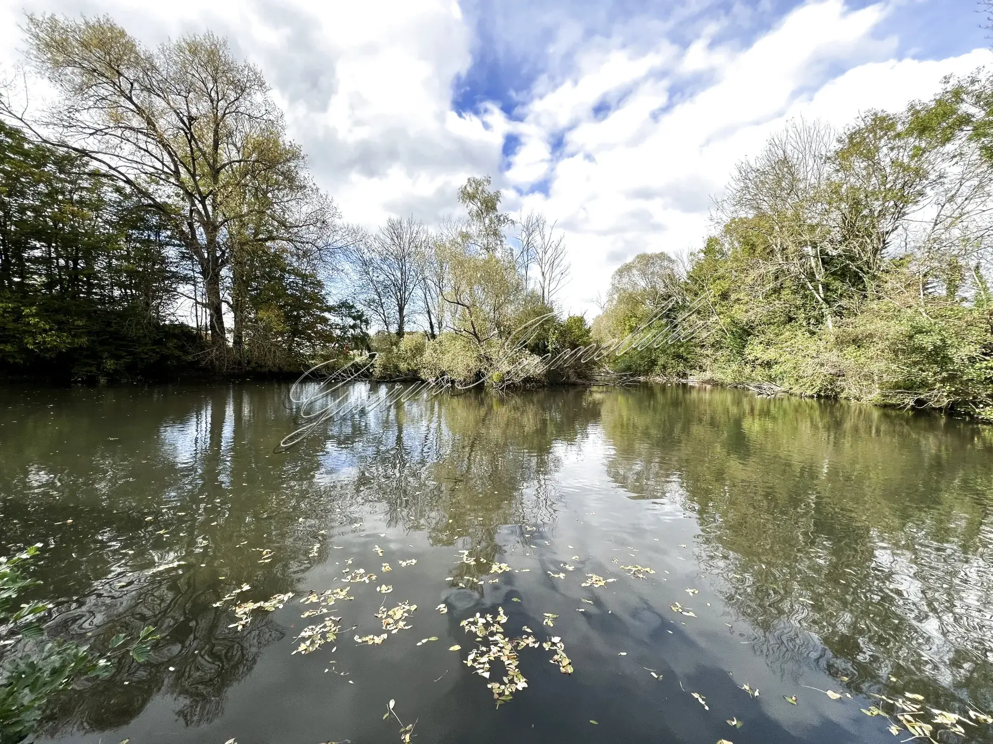 Maison à vendre avec étang privé à Coulanges-lès-Nevers, 2 chambres, terrain de 2500 m² 