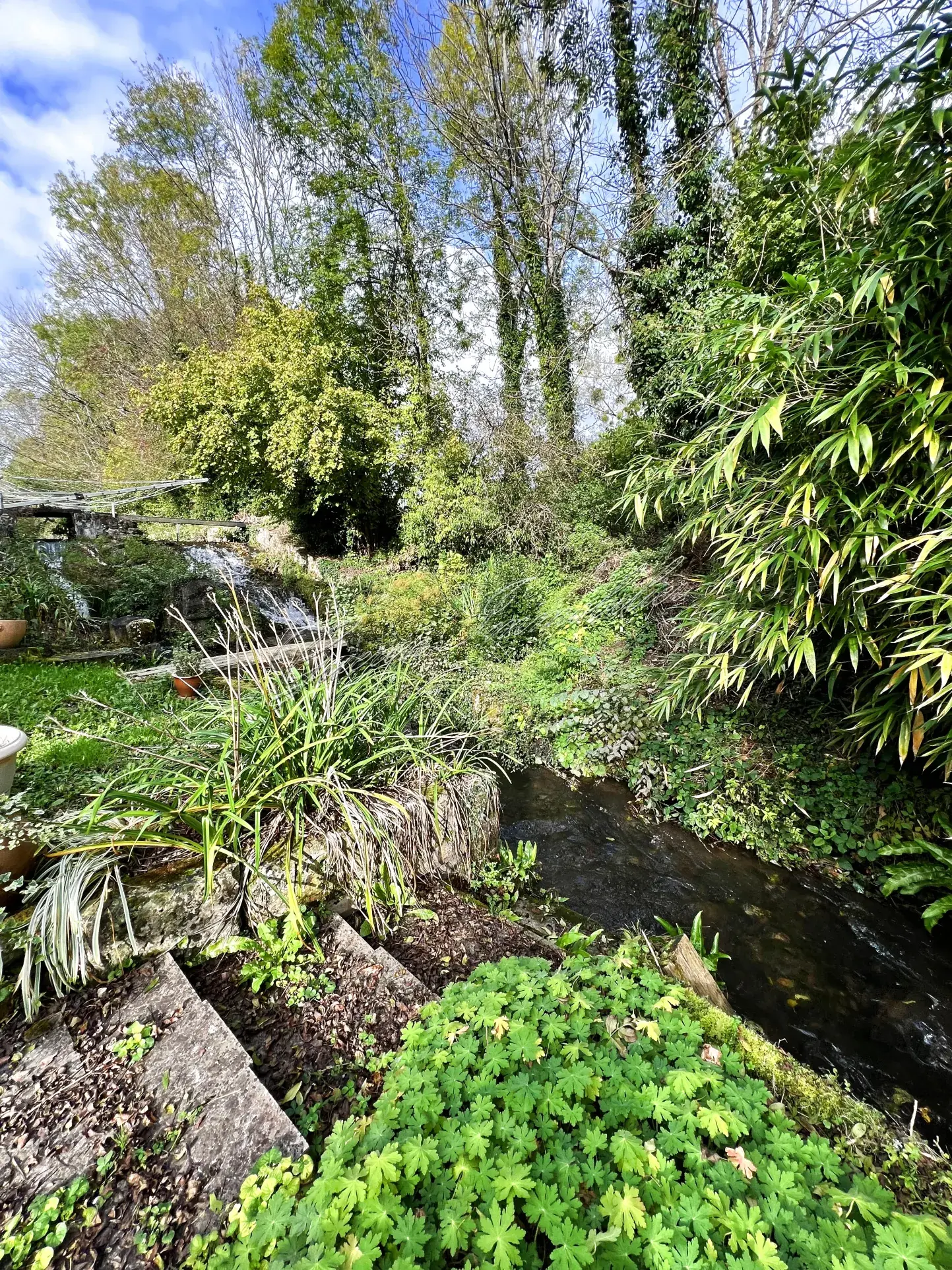 Maison à vendre avec étang privé à Coulanges-lès-Nevers, 2 chambres, terrain de 2500 m² 