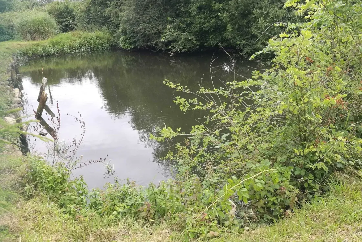 Maison à vendre de 140 m2 avec grand terrain à Hauterive, Normandie 