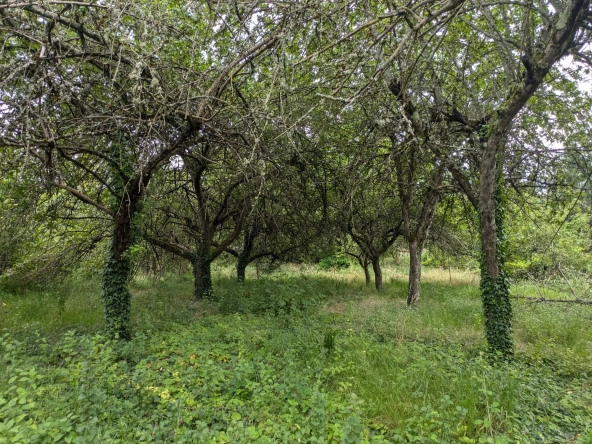 Superbe terrain à bâtir à Challuy de 1938 m² proche de Nevers 