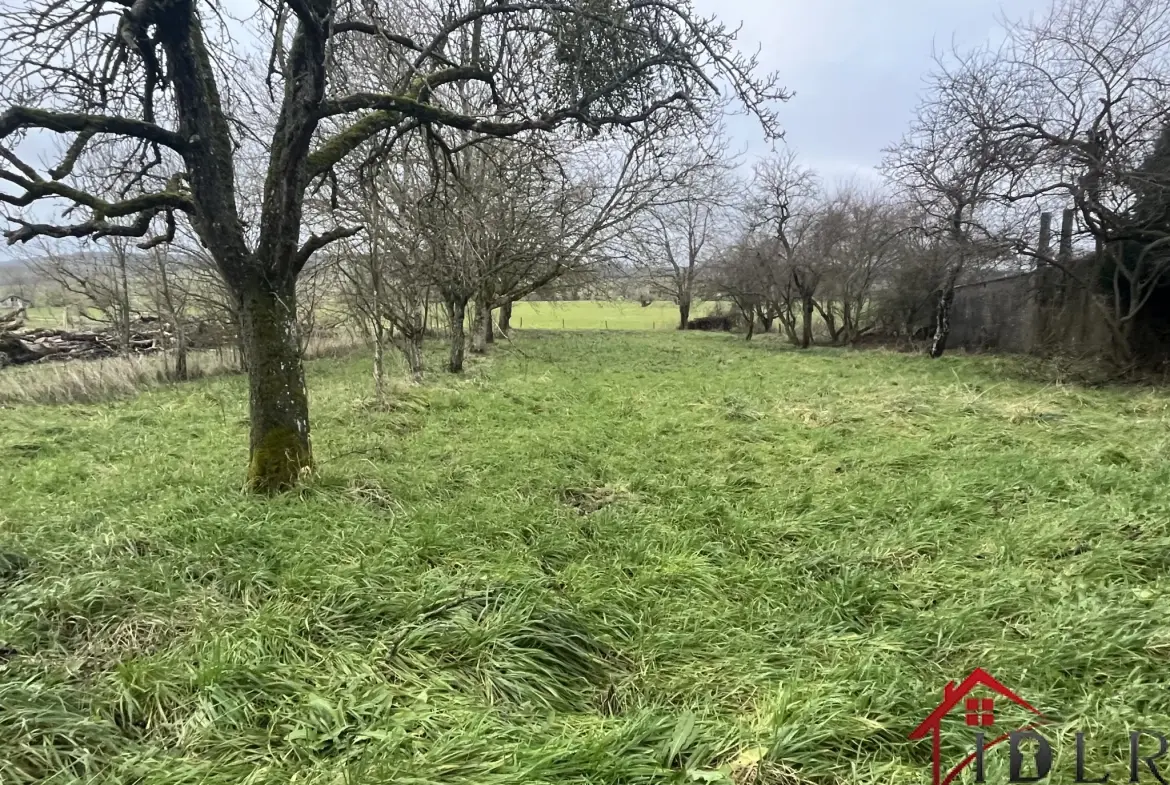 Maison F5 de 135 m² avec grand terrain en Haute-Marne près des Vosges 