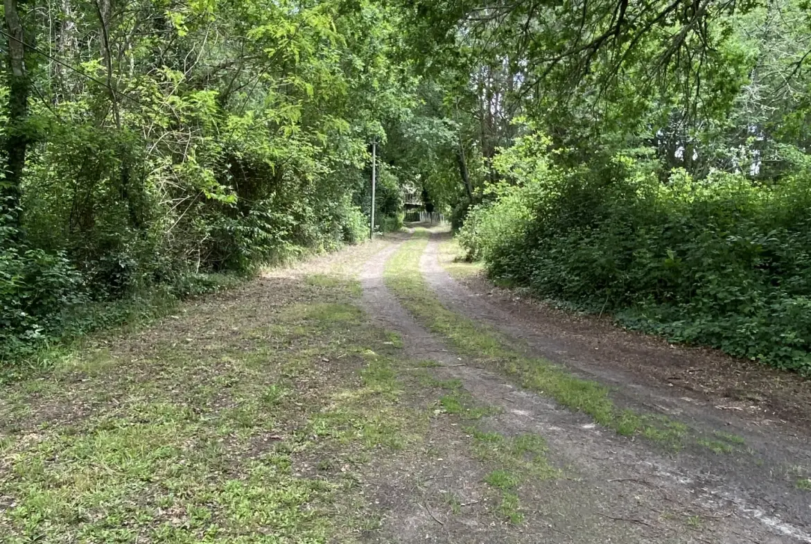 Maison rénovée à 10 km de Langon, environnement boisé, grand terrain 