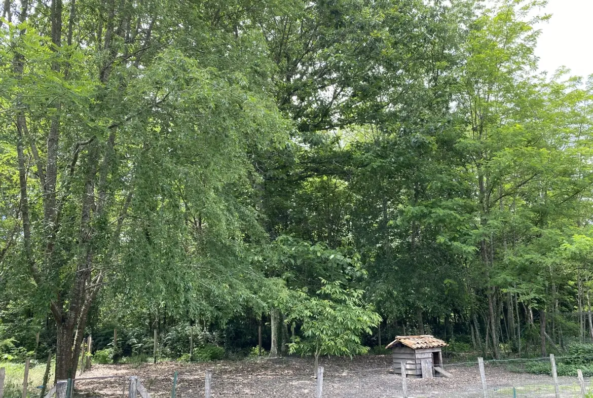 Maison rénovée à 10 km de Langon, environnement boisé, grand terrain 