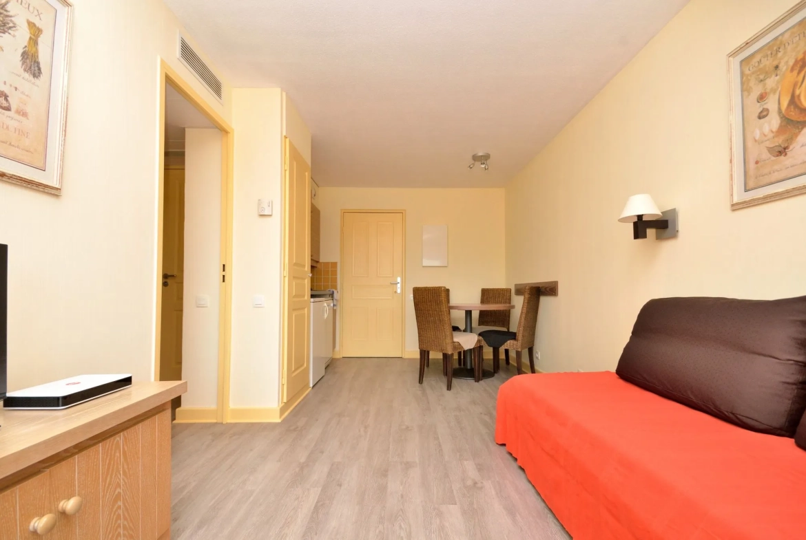 Appartement T2 avec terrasse, vue montagne, à Cannes la Bocca - Investissement idéal 