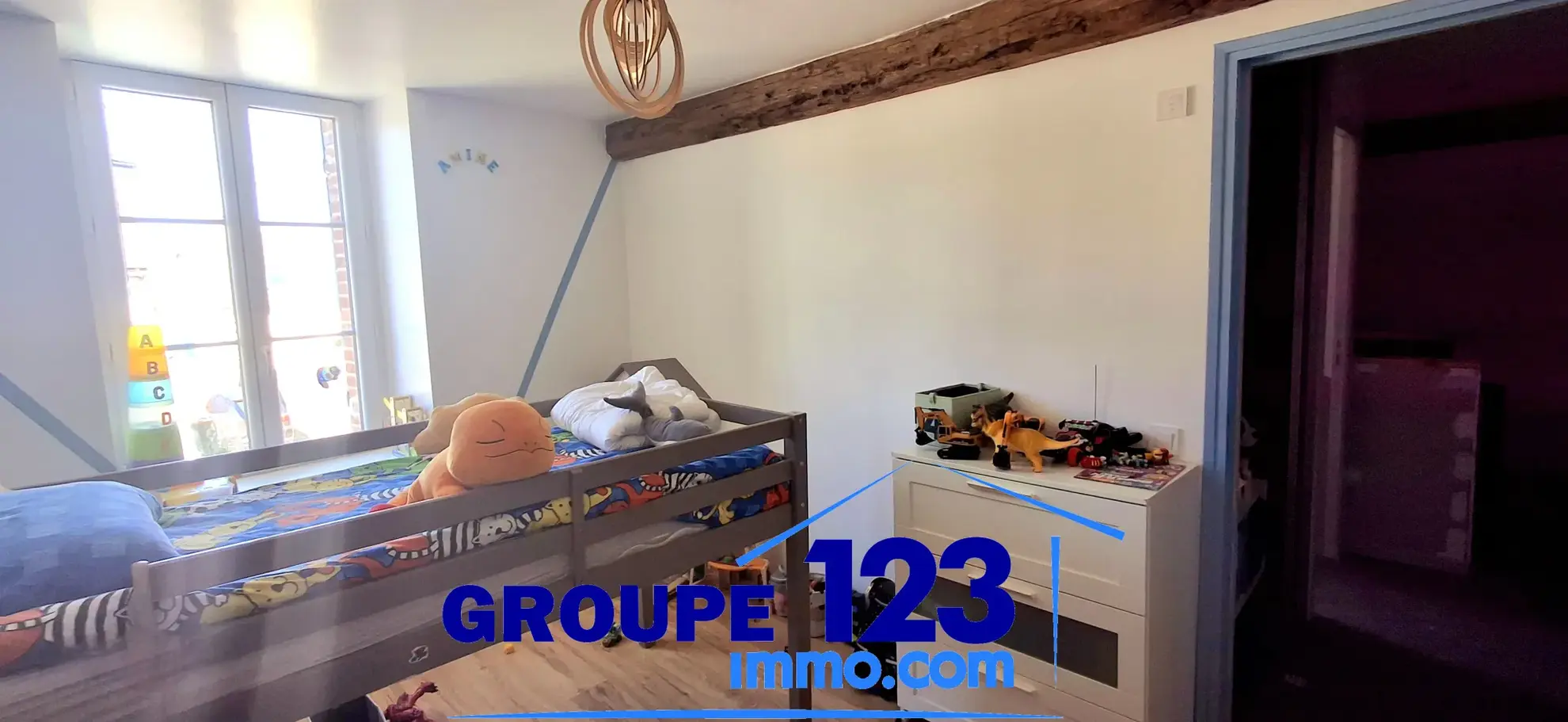Belle maison en pierre rénovée avec jardin clos à Aillant-sur-Tholon 