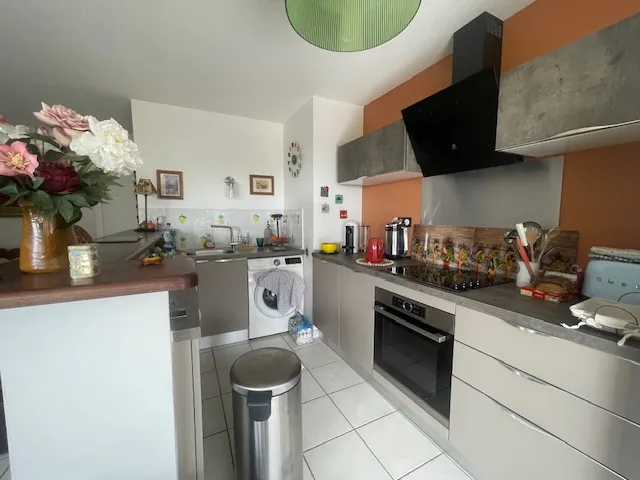 Appartement F2 à Ravine Vilaine, Fort-de-France - 47 m² avec terrasse et parking 