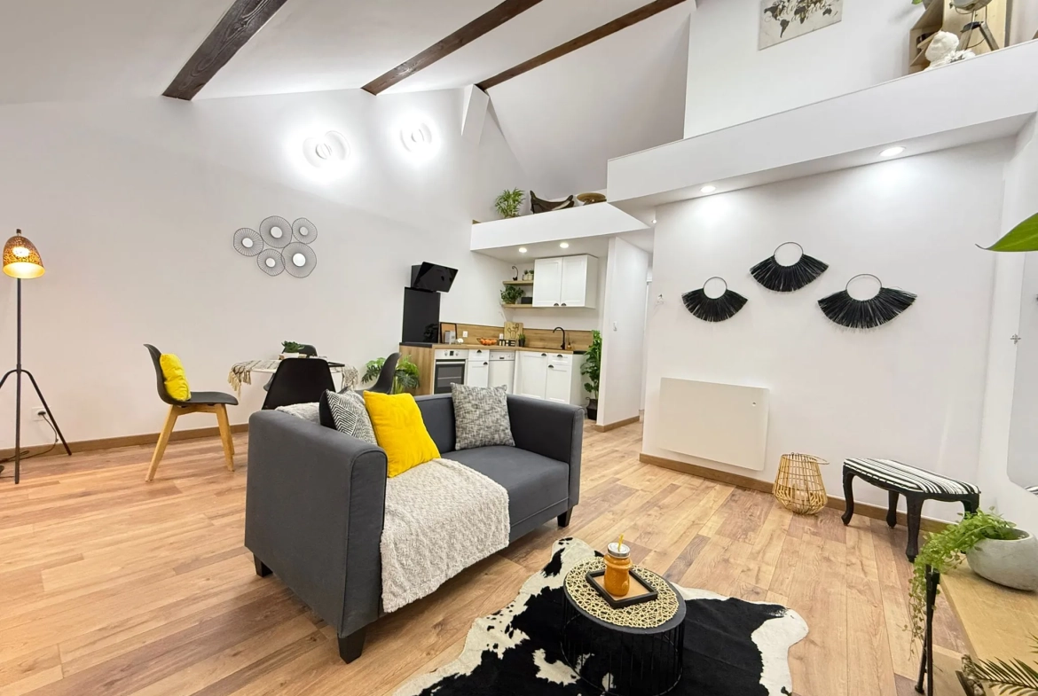 Appartement rénové avec mezzanine et terrasse à Amélie-les-Bains - 44,6 m² 