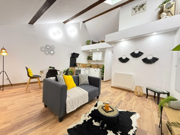 Appartement rénové avec mezzanine et terrasse à Amélie-les-Bains - 44,6 m²