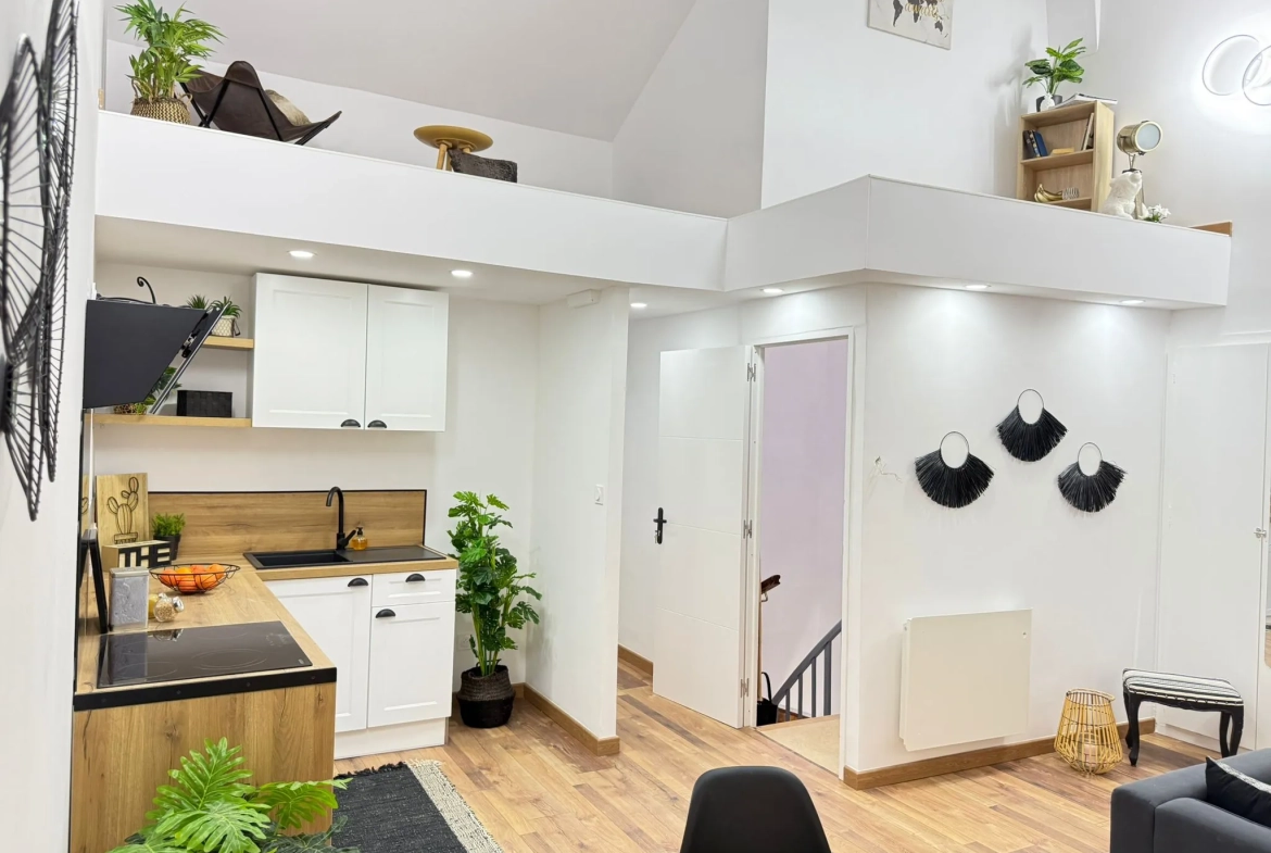 Appartement rénové avec mezzanine et terrasse à Amélie-les-Bains - 44,6 m² 