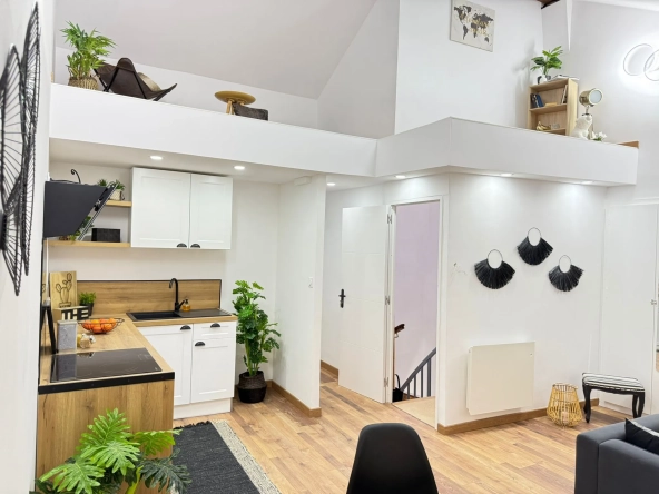 Appartement rénové avec mezzanine et terrasse à Amélie-les-Bains - 44,6 m² 