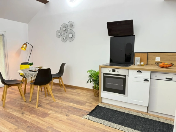 Appartement rénové avec mezzanine et terrasse à Amélie-les-Bains - 44,6 m² 