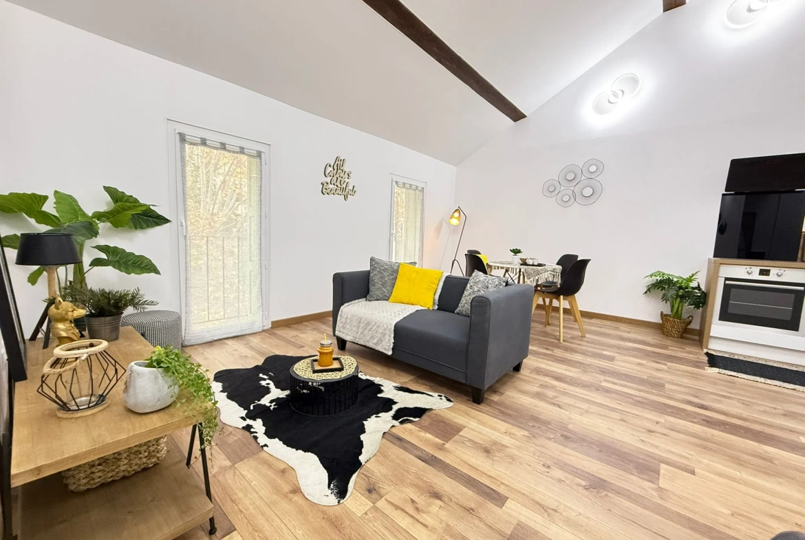 Appartement rénové avec mezzanine et terrasse à Amélie-les-Bains - 44,6 m² 