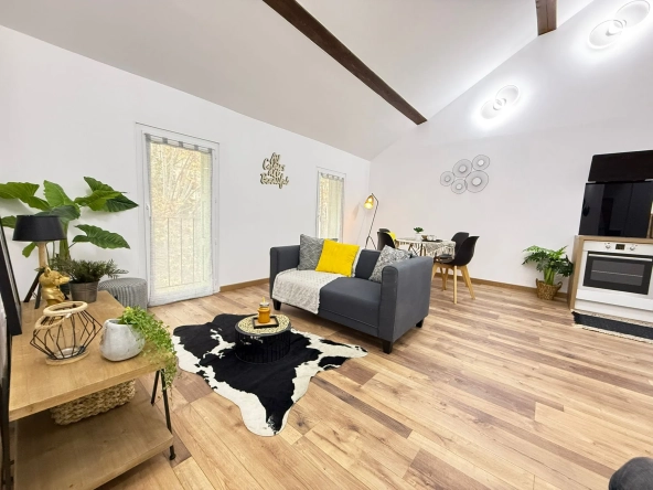 Appartement rénové avec mezzanine et terrasse à Amélie-les-Bains - 44,6 m² 