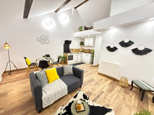 Appartement rénové avec mezzanine et terrasse à Amélie-les-Bains - 44,6 m² 