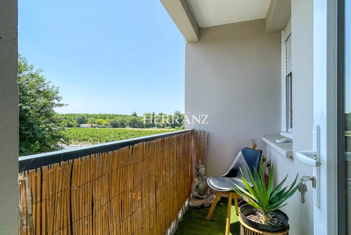 Superbe T4 rénové avec balcon, parking et vue sur vignes à Libourne 