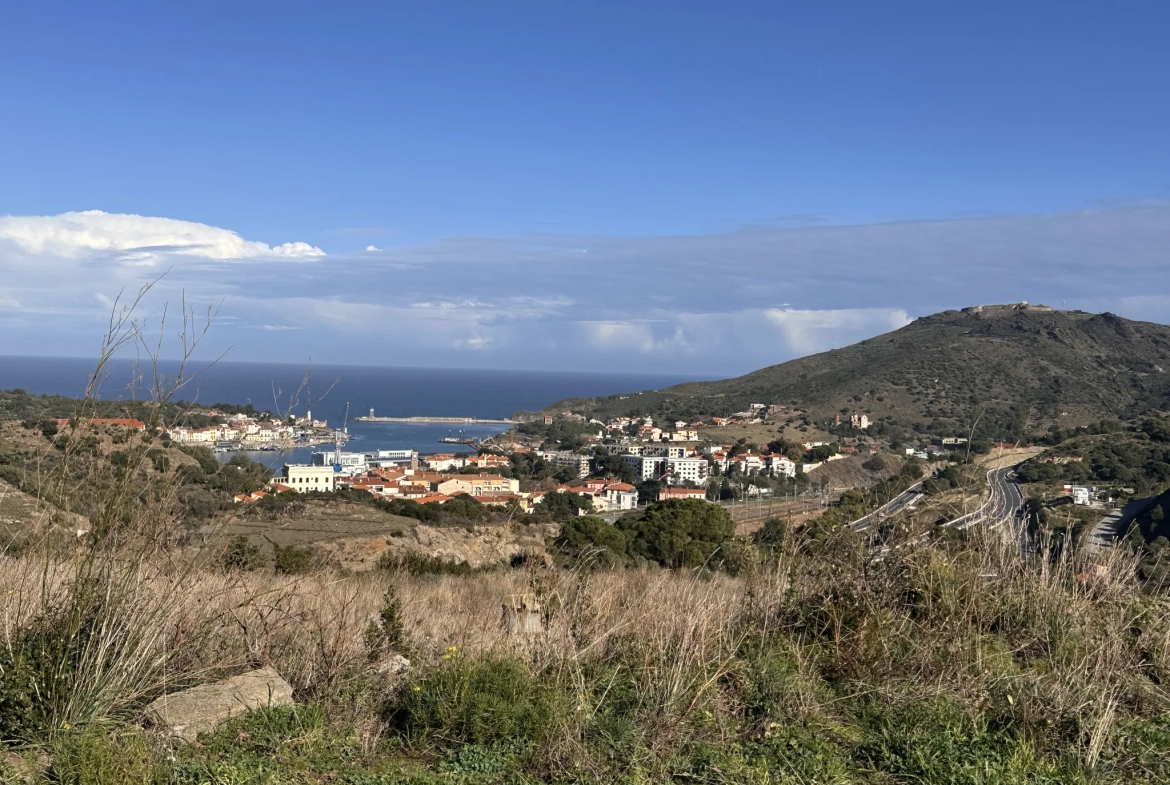 Terrain agricole à Port-Vendres avec vignobles et vue mer - 6170 m² 