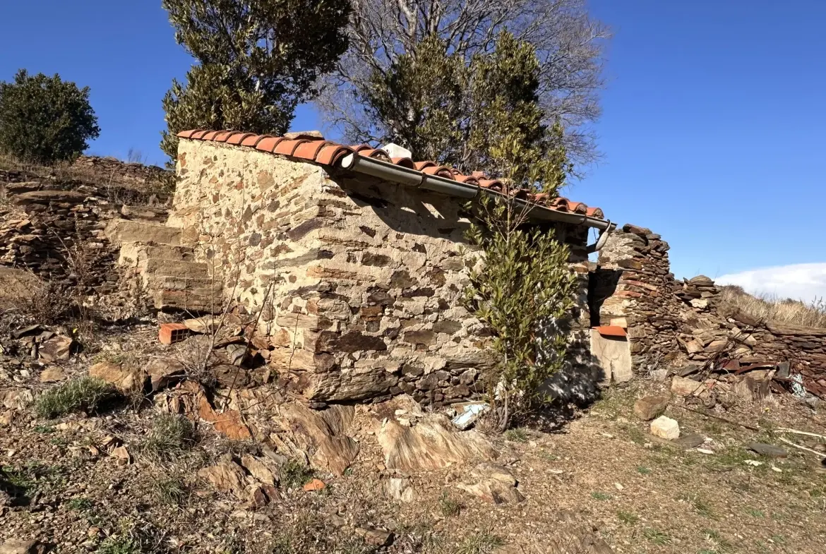 Terrain agricole à Port-Vendres avec vignobles et vue mer - 6170 m² 