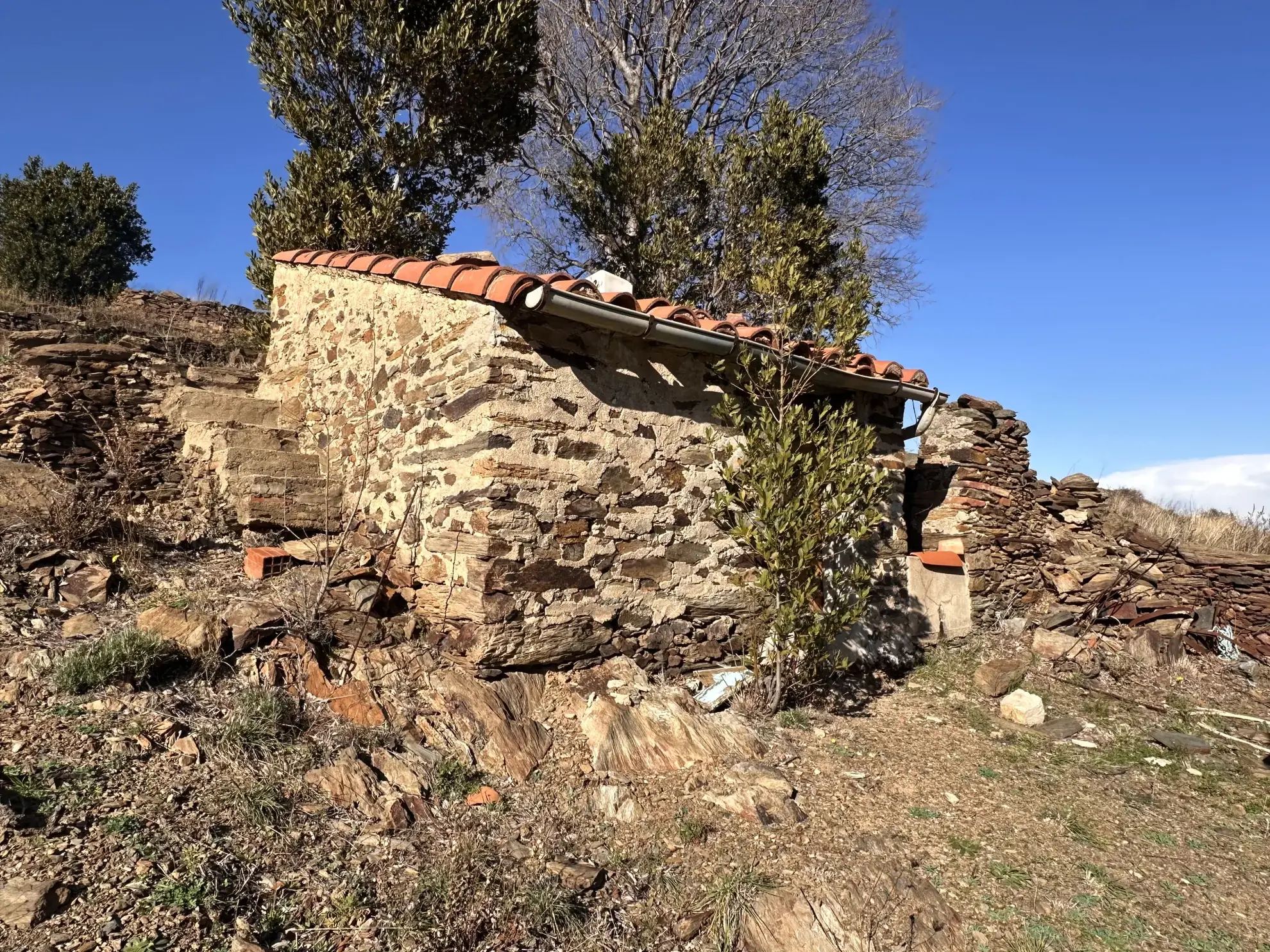 Terrain agricole à Port-Vendres avec vignobles et vue mer - 6170 m² 