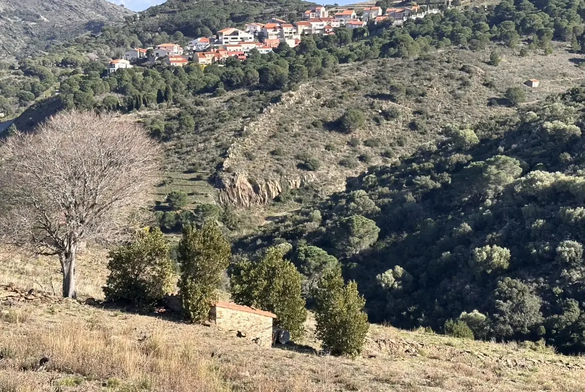 Terrain agricole à Port-Vendres avec vignobles et vue mer - 6170 m² 