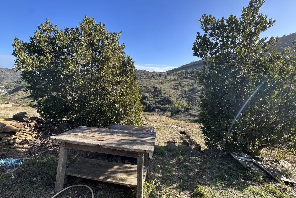 Terrain agricole à Port-Vendres avec vignobles et vue mer - 6170 m² 