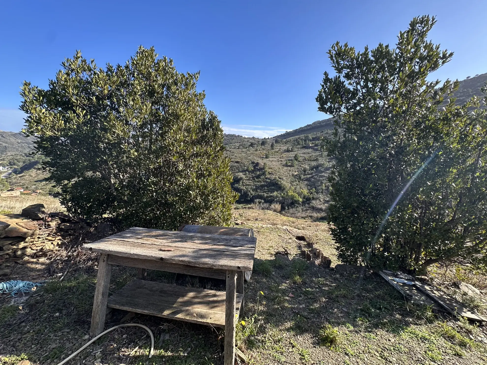 Terrain agricole à Port-Vendres avec vignobles et vue mer - 6170 m² 