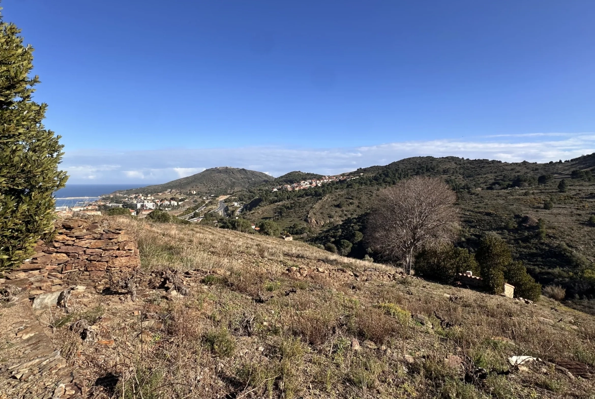 Terrain agricole à Port-Vendres avec vignobles et vue mer - 6170 m² 