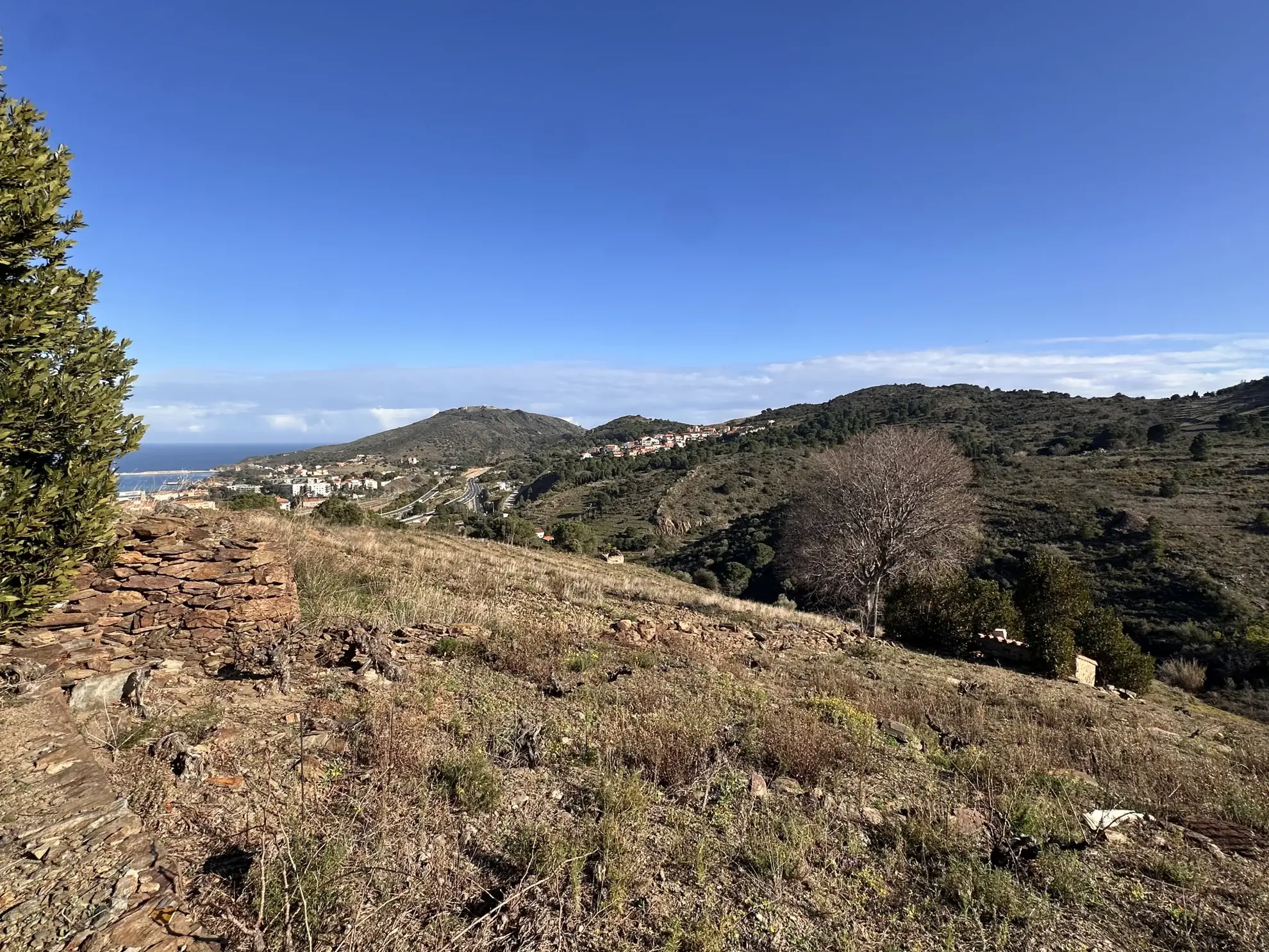 Terrain agricole à Port-Vendres avec vignobles et vue mer - 6170 m² 