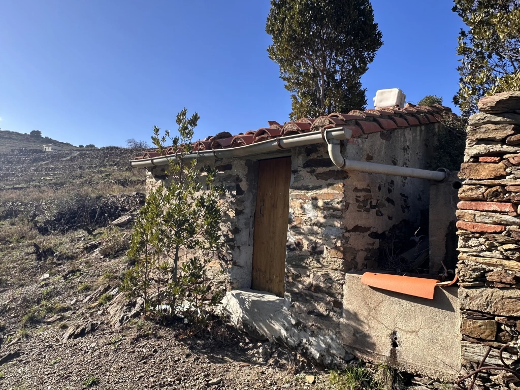 Terrain agricole à Port-Vendres avec vignobles et vue mer - 6170 m²